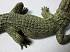 Фигурка Papo - Нильский крокодил  - миниатюра №1